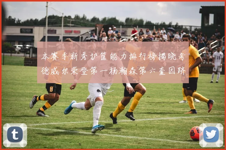 本赛季新秀护筐能力排行榜揭晓考德威尔荣登第一杨瀚森第六奎因跻身前十