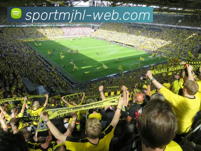 麻将胡了服务体系